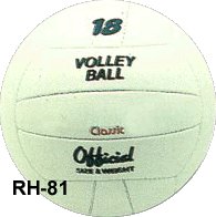 custom made volley balls